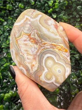 Amazing Mexican Crazy Lace Agate Polished Freeform